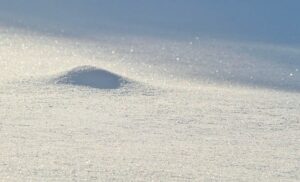 雪の粉が一面広がっている写真